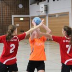 2017_01_08 Landesliga Frauen u. J19